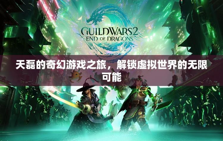 天磊的奇幻游戲之旅，解鎖虛擬世界的無(wú)限可能