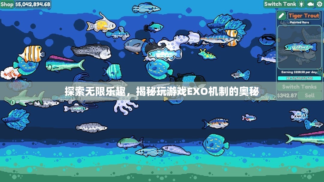 揭秘EXO機制，探索無限游戲樂趣