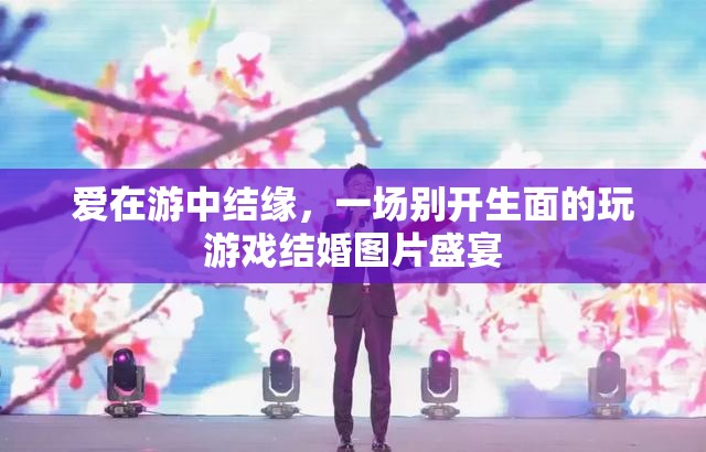 游中結(jié)緣，一場(chǎng)別開生面的游戲結(jié)婚圖片盛宴