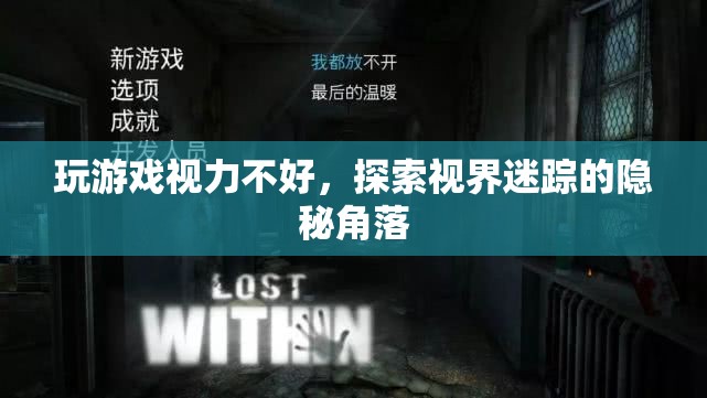 探索視界迷蹤，揭秘游戲中的視力挑戰(zhàn)與隱秘角落  第3張