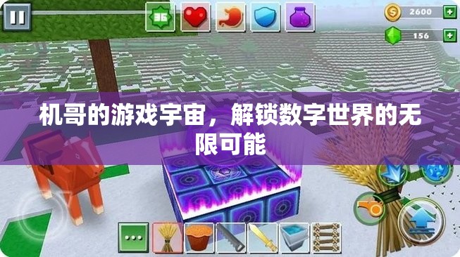 機(jī)哥的數(shù)字游戲宇宙，解鎖無限可能