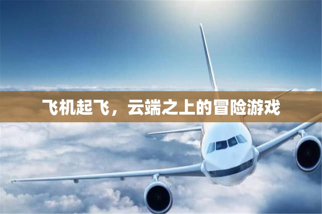 云端之上的冒險，飛機起飛之旅  第2張