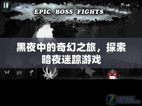 暗夜迷蹤，一場(chǎng)黑夜中的奇幻探險(xiǎn)游戲  第3張