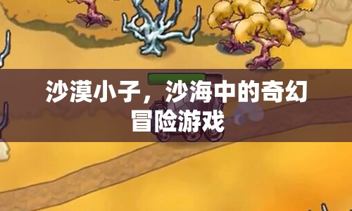 沙漠小子，沙海奇幻冒險(xiǎn)之旅  第3張