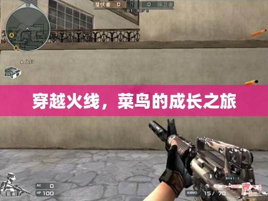 菜鳥的成長之路，穿越火線中的蛻變與挑戰(zhàn)