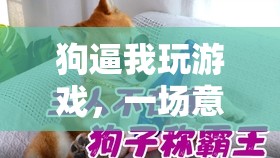 狗的‘逼迫’，一場(chǎng)意想不到的歡樂冒險(xiǎn)之旅
