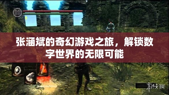 張涵斌的奇幻數(shù)字之旅，解鎖無限可能的數(shù)字世界