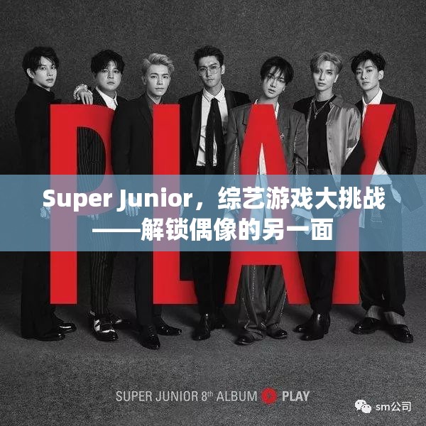 Super Junior綜藝游戲大挑戰(zhàn)，解鎖偶像的另一面
