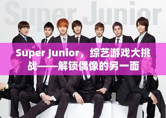Super Junior綜藝游戲大挑戰(zhàn)，解鎖偶像的另一面