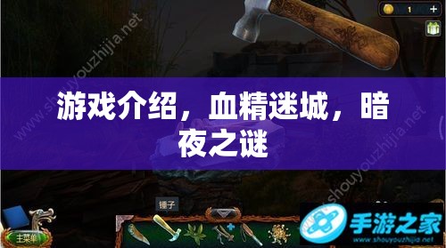 血精迷城，暗夜之謎——揭秘暗夜世界的奇幻冒險(xiǎn)  第1張