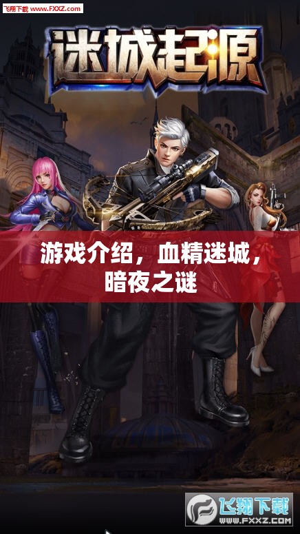 血精迷城，暗夜之謎——揭秘暗夜世界的奇幻冒險(xiǎn)  第3張