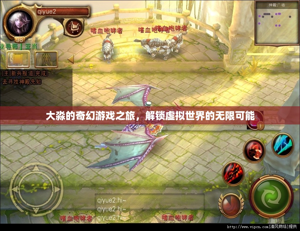 大淼的奇幻游戲之旅，解鎖虛擬世界的無限可能