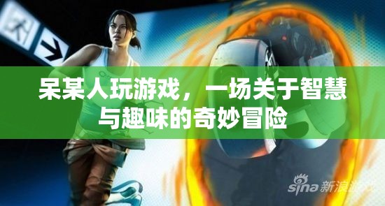 智慧與趣味的奇妙冒險，呆某人的游戲之旅