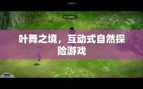 葉舞之境，沉浸式自然探險(xiǎn)的奇幻之旅  第3張