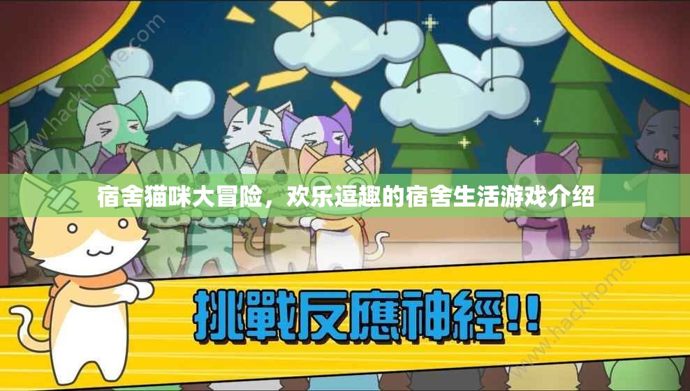 宿舍貓咪大冒險，歡樂逗趣的宿舍生活游戲