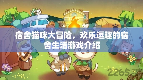 宿舍貓咪大冒險，歡樂逗趣的宿舍生活游戲