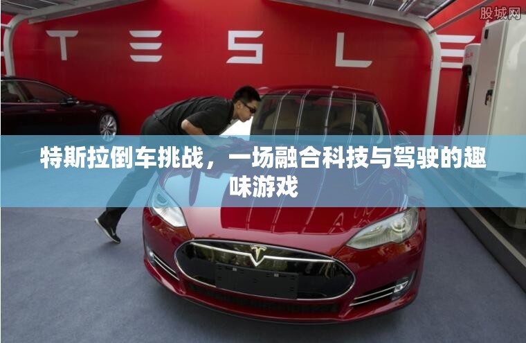 特斯拉倒車挑戰(zhàn)，科技與駕駛的趣味碰撞  第1張