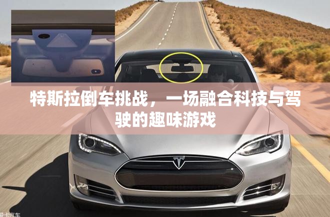 特斯拉倒車挑戰(zhàn)，科技與駕駛的趣味碰撞  第2張