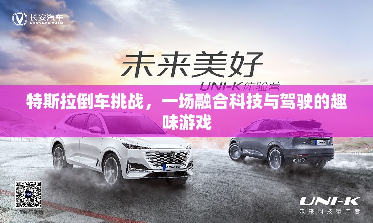 特斯拉倒車挑戰(zhàn)，科技與駕駛的趣味碰撞  第3張