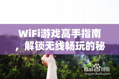 WiFi游戲高手秘籍，解鎖無線暢玩的終極技巧