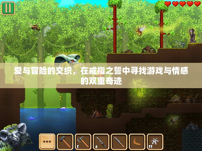 戒指之誓，愛與冒險的雙重奇跡