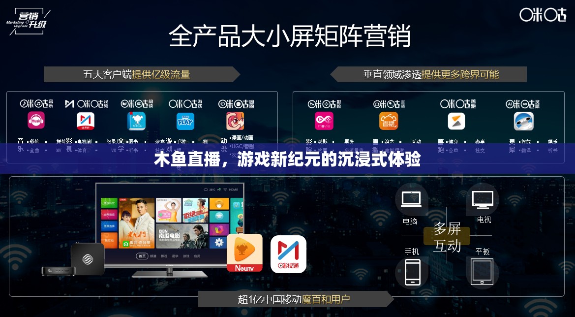 木魚直播，解鎖游戲新紀元，沉浸式體驗引領未來