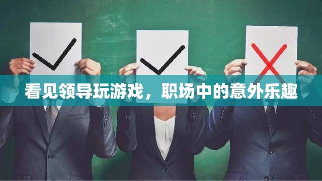 職場(chǎng)意外之喜，領(lǐng)導(dǎo)的游戲時(shí)光