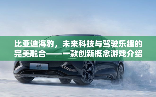 未來科技與駕駛樂趣的完美碰撞，比亞迪海豹?jiǎng)?chuàng)新概念游戲揭秘