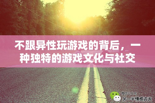 獨(dú)特的游戲文化與社交哲學(xué)，為何他們選擇不與異性共玩游戲