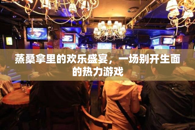 熱力盛宴，蒸桑拿中的別樣歡樂游戲