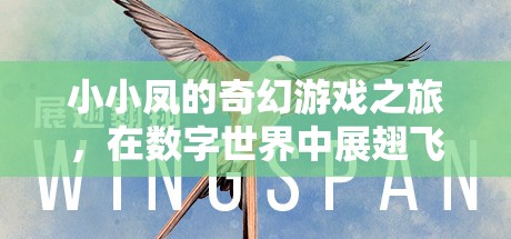 小小鳳的數(shù)字奇境，展翅飛翔的奇幻游戲之旅