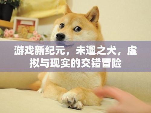 未遛之犬，游戲新紀(jì)元中的虛擬與現(xiàn)實交錯冒險