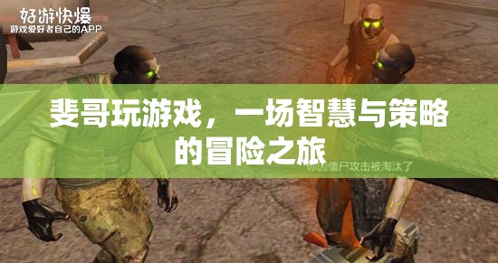 斐哥的智慧與策略，一場(chǎng)游戲中的冒險(xiǎn)之旅