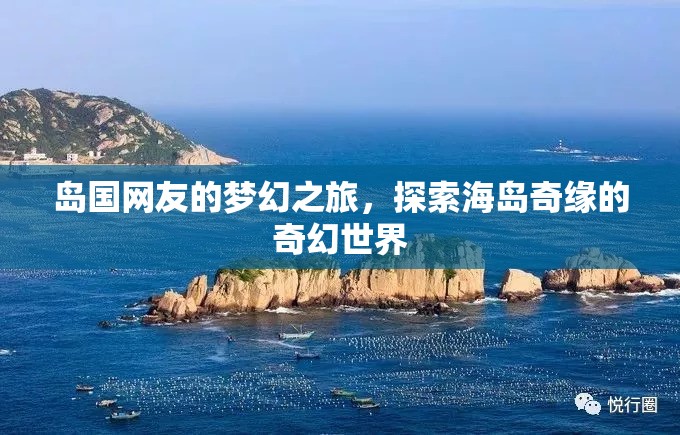 海島奇緣，島國網(wǎng)友的夢幻探險之旅