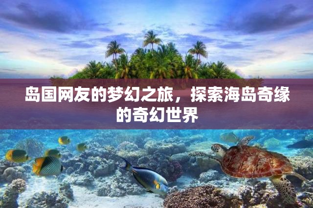 海島奇緣，島國網(wǎng)友的夢幻探險之旅