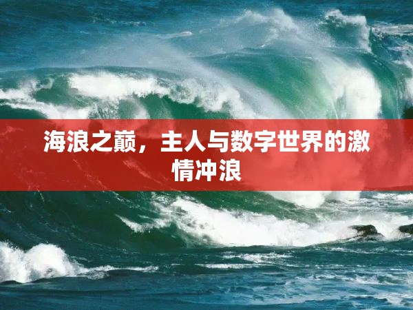 海浪之巔，數(shù)字世界的激情沖浪