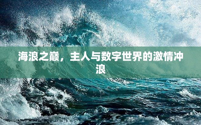 海浪之巔，數(shù)字世界的激情沖浪