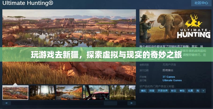 虛擬與現(xiàn)實交織，新疆游戲之旅的奇妙探索