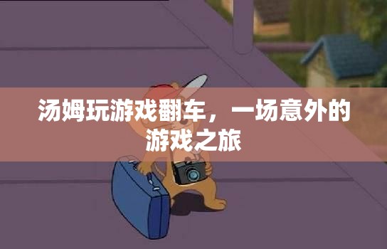 湯姆游戲意外之旅，從勝利到翻車的驚險旅程
