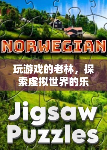 老林探索虛擬世界，游戲樂趣與智慧并存  第3張