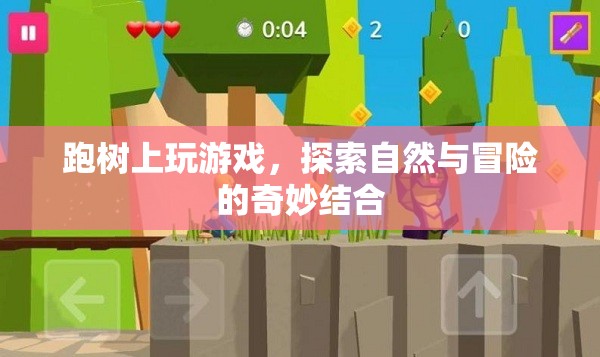 樹上探險(xiǎn)，自然與冒險(xiǎn)的奇妙結(jié)合