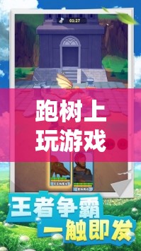 樹上探險(xiǎn)，自然與冒險(xiǎn)的奇妙結(jié)合