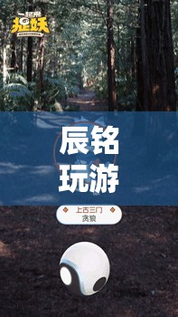 辰銘探索虛擬世界的無限可能
