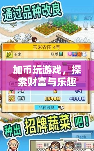 加幣游戲，財富與樂趣的奇妙融合之旅