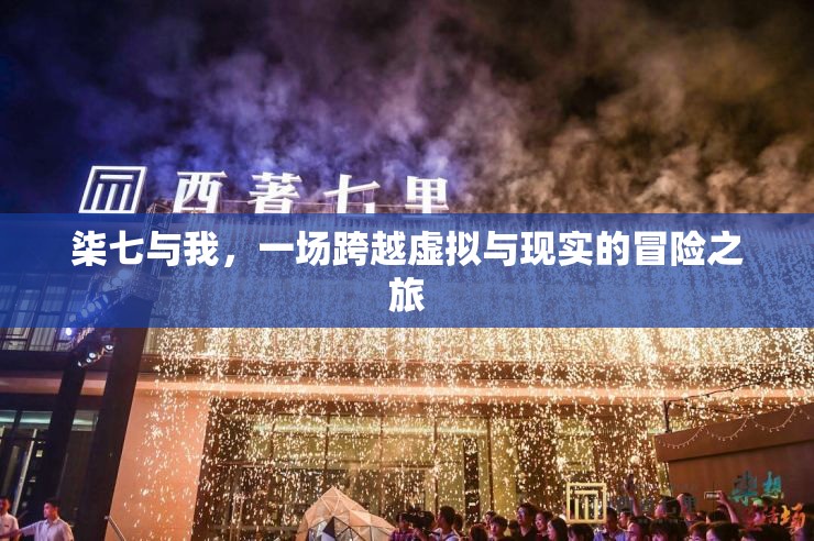 柒七與我，虛擬與現(xiàn)實(shí)的冒險之旅