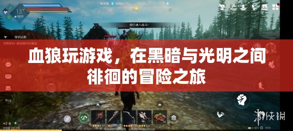 血狼在光明與黑暗間徘徊的冒險之旅  第1張