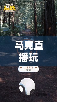 馬克直播探索虛擬世界的無限可能