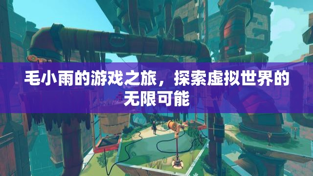 毛小雨的游戲之旅，探索虛擬世界的無限可能