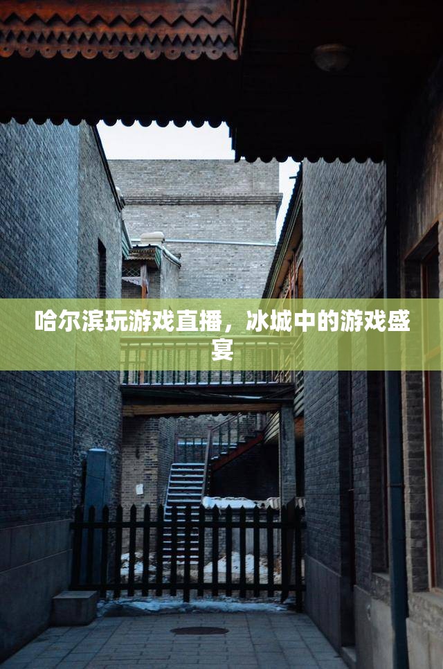 冰城游戲盛宴，哈爾濱玩游戲直播