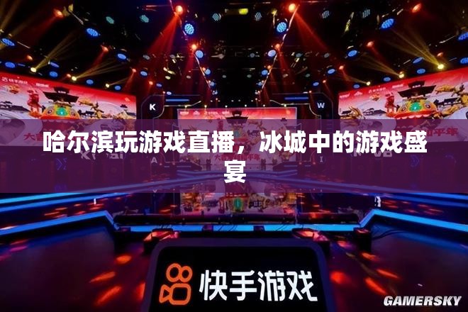 冰城游戲盛宴，哈爾濱玩游戲直播